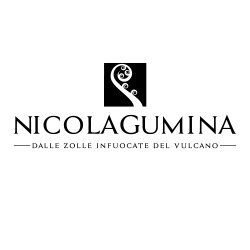 NIC GUMINA