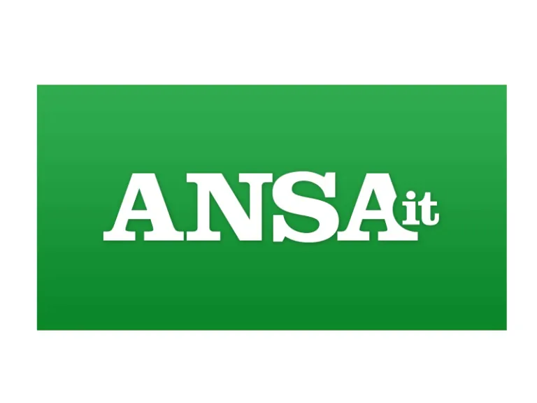 Ansa 768x576