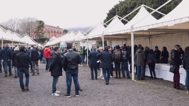 IMG 0037 1024x576 640x480