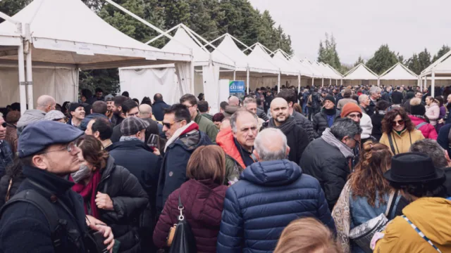 IMG 0105 1024x576 640x480