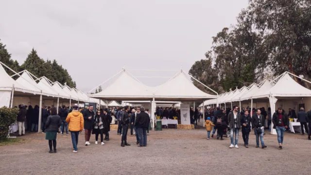 IMG 0121 1024x576 640x480