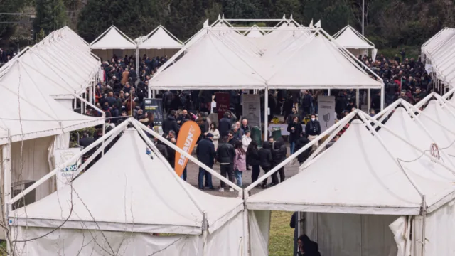 IMG 4390 1024x576 640x480