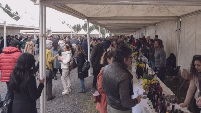 Image00056 1024x576 640x480