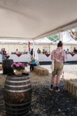 DSCF6531 683x1024 320x240