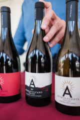 DSCF6651 683x1024 320x240