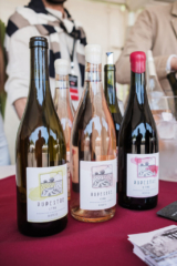 DSCF6689 683x1024 320x240