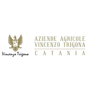 VINCENZO TRIGONA Logo