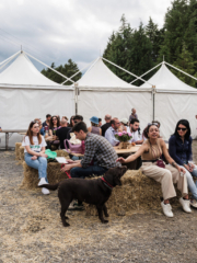 WMR7278 768x1024 320x240