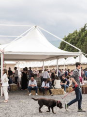 WMR7296 768x1024 320x240