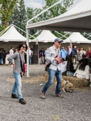 WMR7376 768x1024 320x240