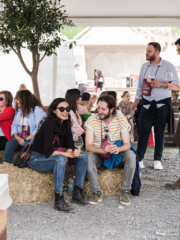 WMR7378 768x1024 320x240