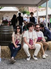 WMR7450 768x1024 320x240