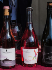 WMR7488 768x1024 320x240