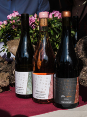 WMR7503 768x1024 320x240