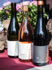 WMR7504 768x1024 320x240