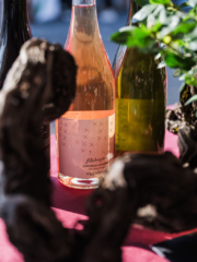 WMR7513 768x1024 320x240