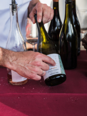 WMR7546 768x1024 320x240