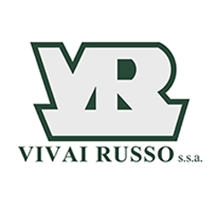 VR Logo