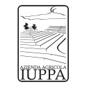 48 iuppa