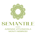 69 semantile logo