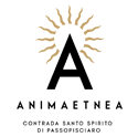 6 anima etnea