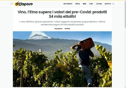 Dissaporecom1739961568
